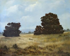<a href="https://clydeowesart.com/product/the-fields-of-arroyo/">The Fields of Arroyo</a>
